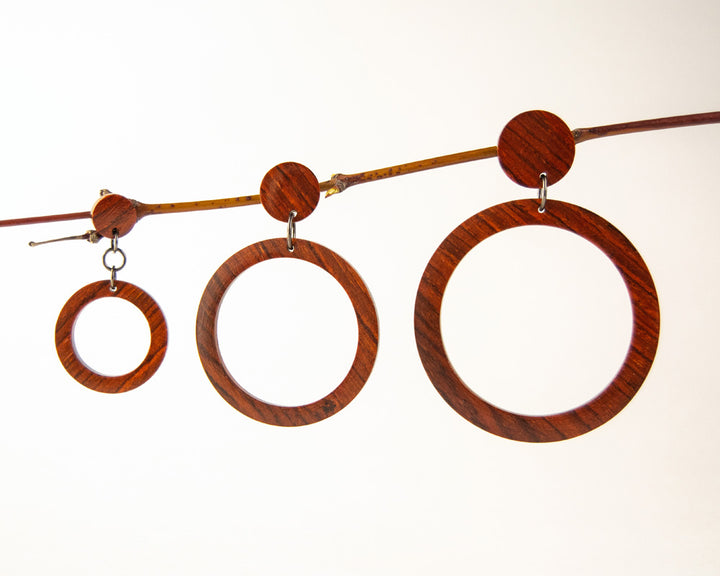 3 sizes of cocobolo wood hoops hanging from twig